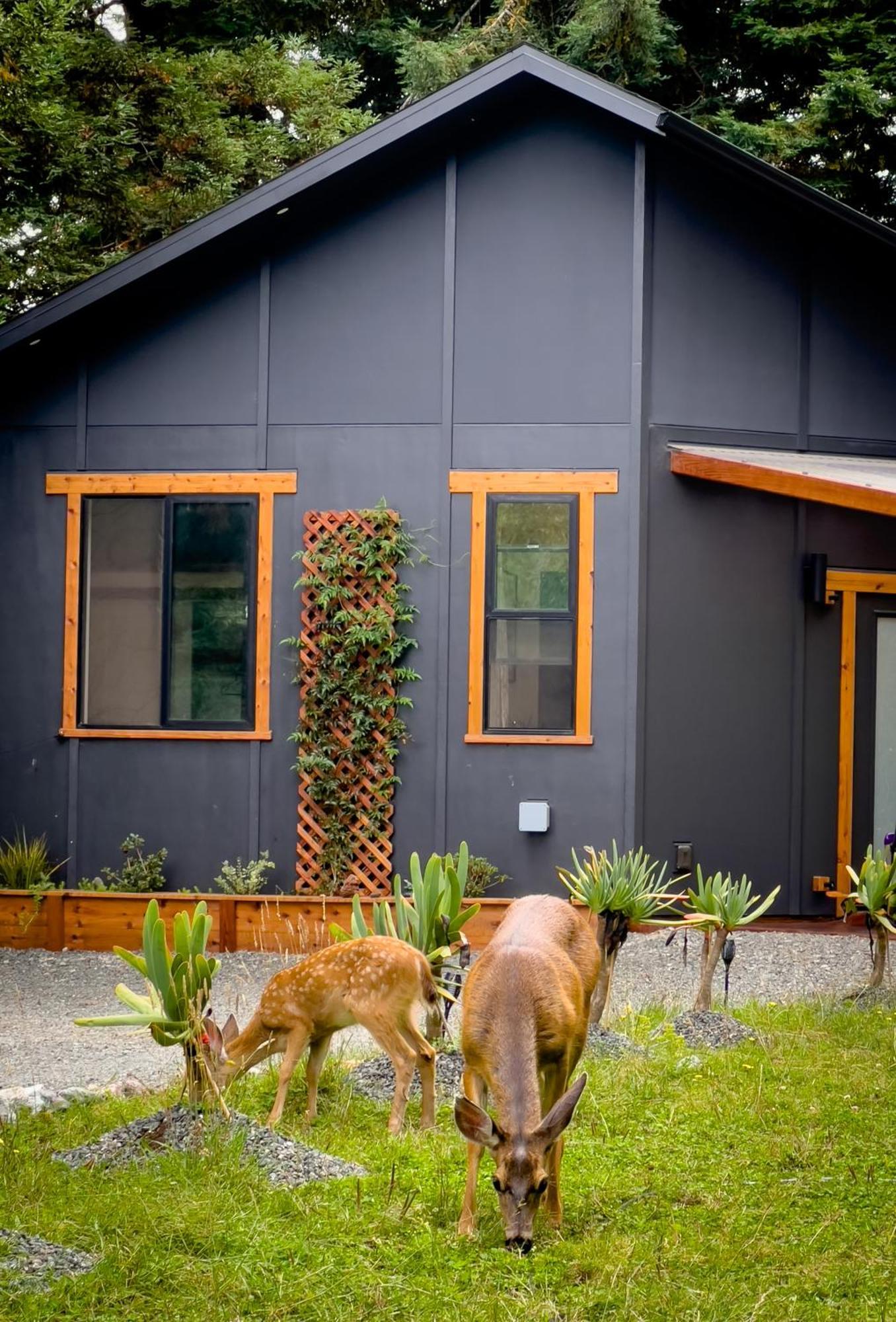 New, Modern, Country-Feel, Close To Arcata Ngoại thất bức ảnh
